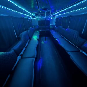 Party Bus Rental 24 Passengers Max