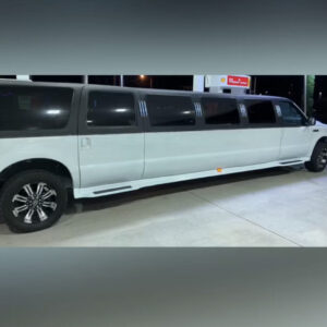 limo Rental 12 Passengers