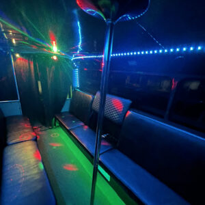Party Bus Rental 14 Passengers Max